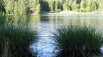 BeFree Tantra am Schwarzsee BeFree Tantra am Schwarzsee