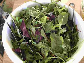 Frisch und gesund: Blattsalate