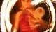 BeFree Tantra: Der Frauen-Tantrasommer in Österreich ist das schönste Frauenseminar im BeFree Tantra-Jahr. BeFree Tantra: Der Frauen-Tantrasommer in Österreich ist das schönste Frauenseminar im BeFree Tantra-Jahr.
