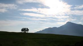 Gigantischer Panoramablick im Morgentau - hier das Kitzbühler Horn